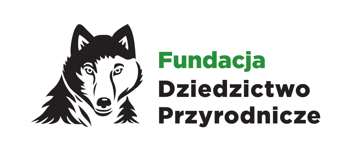 fundacja_dzprz_logo